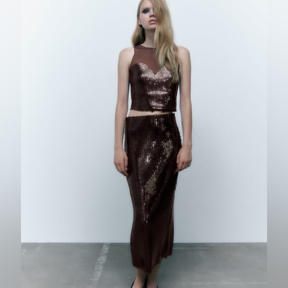 Zara Brown Sequin Top & High Waisted Skirt